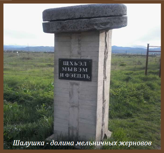 pasport-shalushka